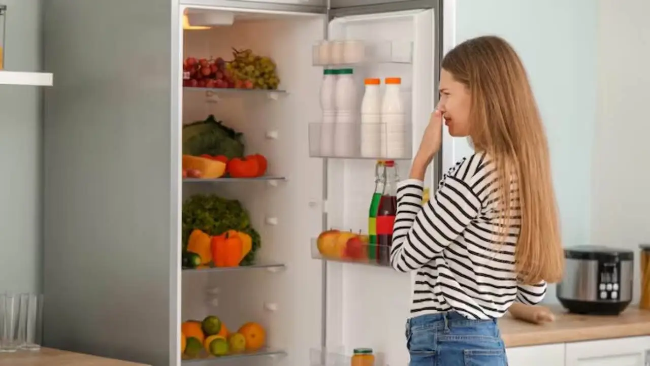 Il trucco per avere sempre il frigorifero profumato